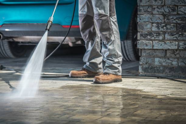 Best Pre-Holiday Cleaning  in Holly Lake Ranch, TX
