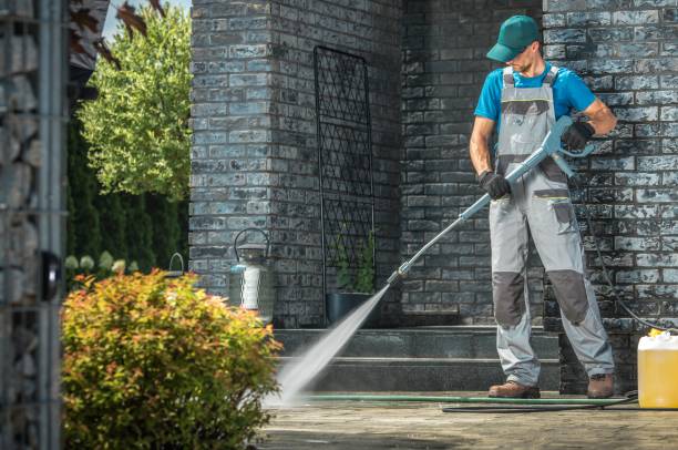 Best Animal Enclosure Cleaning  in Holly Lake Ranch, TX