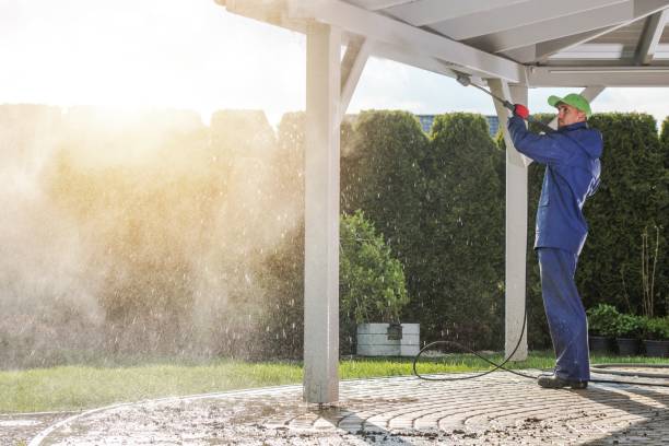 Best House Exterior Washing  in Holly Lake Ranch, TX